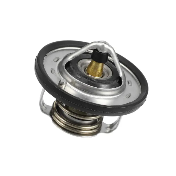 Termostato 255002A050 Hyundai/Kia