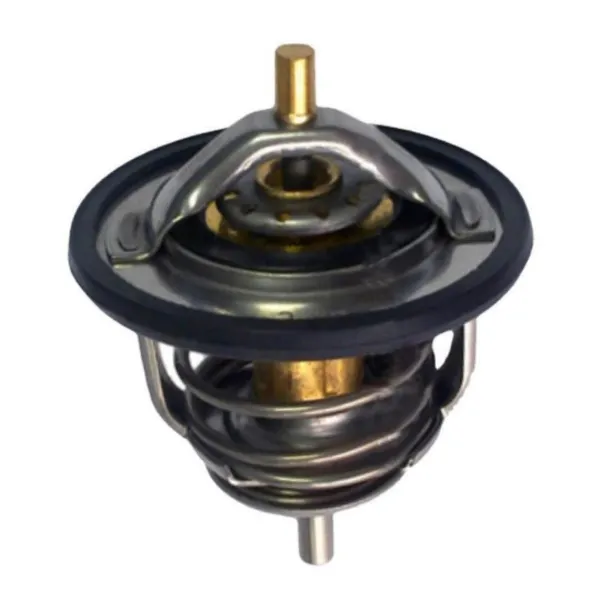 Termostato 8973007900 Isuzu