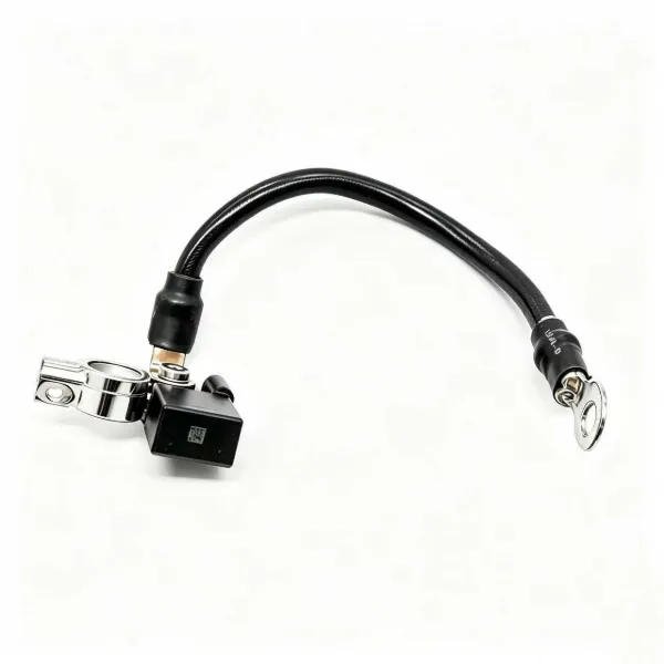 Cable de masa de batería A1665420218 Mercedes