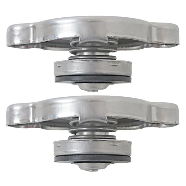 Tapa radiador 21430D991A Nissan/Infiniti