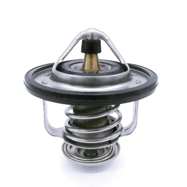 Termostato 212006N210 Nissan/Infiniti