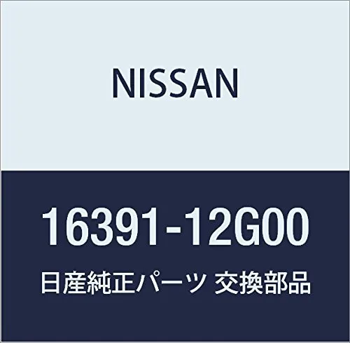  1639112G00 Nissan/Infiniti