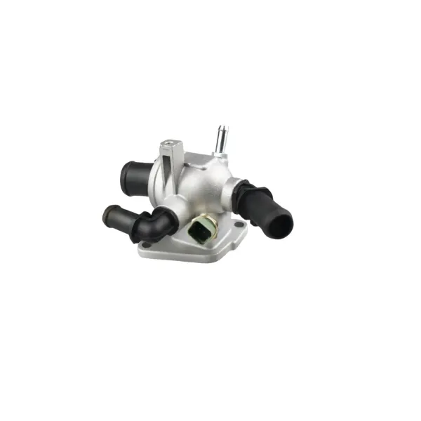 Termostato 55202373 Opel
