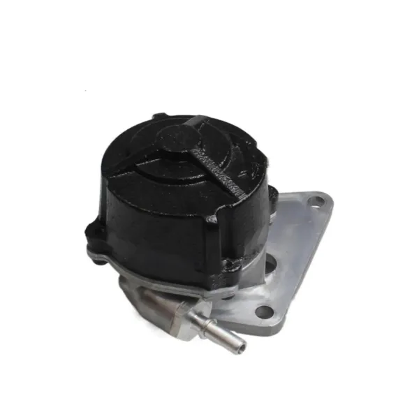 Bomba de vacío 456553 Peugeot/Citroen