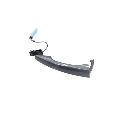 Manija exterior derecha de puerta delantera PEUGEOT 1606874680