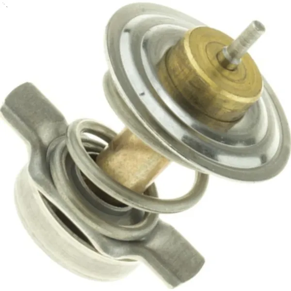 Termostato 99610612572 Porsche