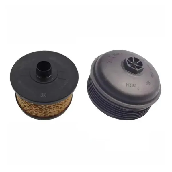 Filtro de aceite 152095084R Renault (RVI)