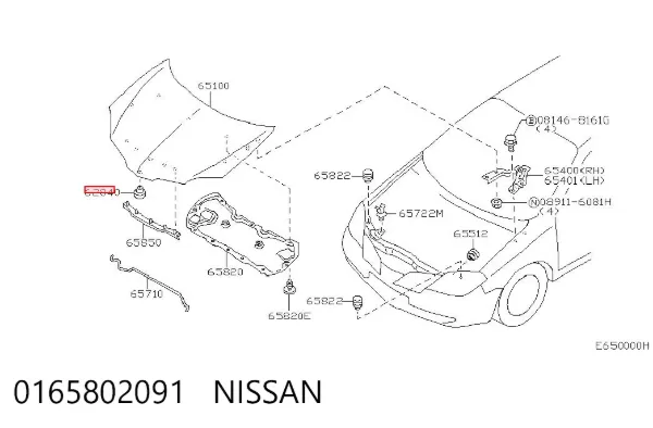 Tope del capó 0165802091 Nissan/Infiniti