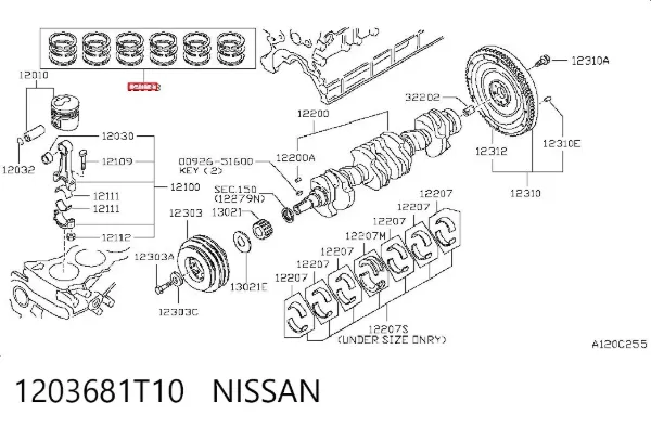  1203681T10 Nissan/Infiniti
