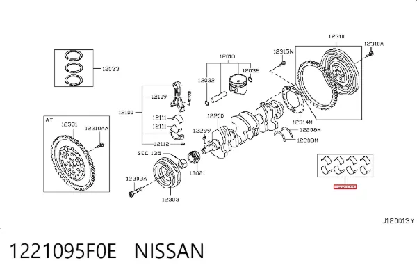  1221095F0E Nissan/Infiniti