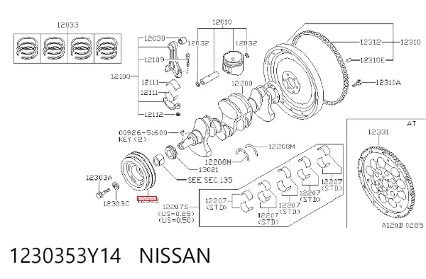 Polea de cigüeñal 1230353Y14 Nissan/Infiniti