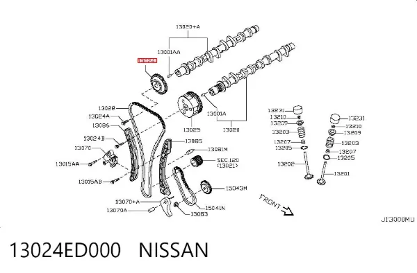 Engranaje del árbol de levas de escape 13024ED000 Nissan/Infiniti