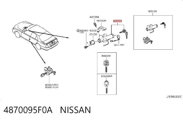  4870095F0A Nissan/Infiniti