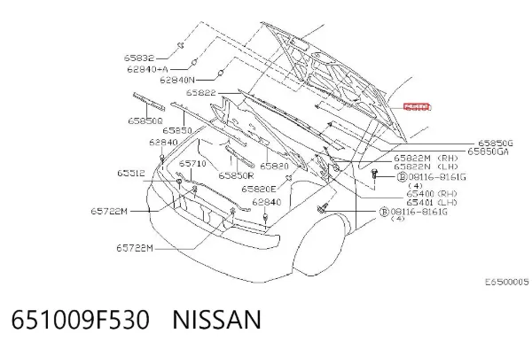 Capó 651009F530 Nissan/Infiniti
