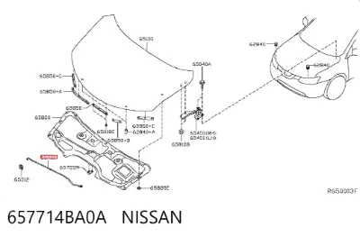 Soporte de capó NISSAN 657714BA0A