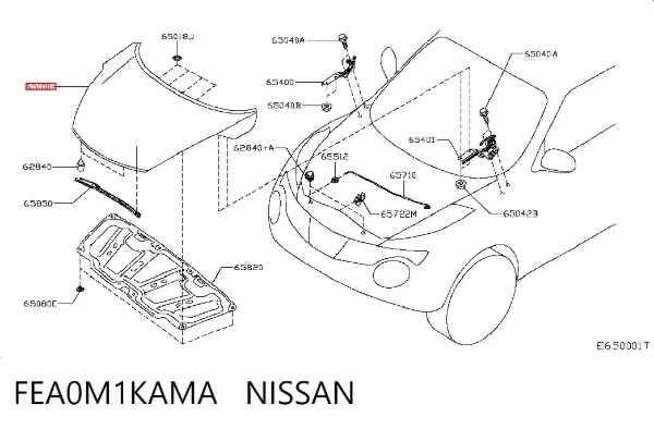 Capó FEA0M1KAMA Nissan/Infiniti