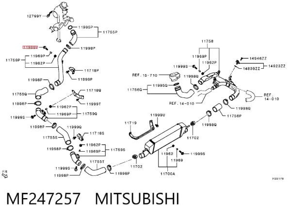  MF247257 Mitsubishi