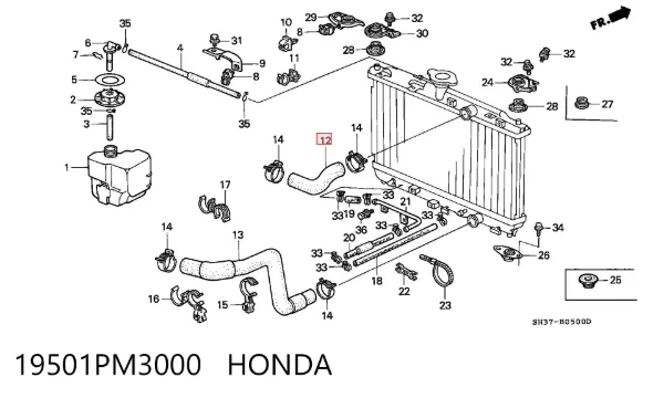 Manguera superior del radiador 19501PM3000 Honda