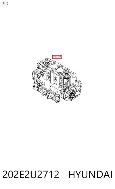 Bloque de cilindros del motor HYUNDAI 202E2U2712