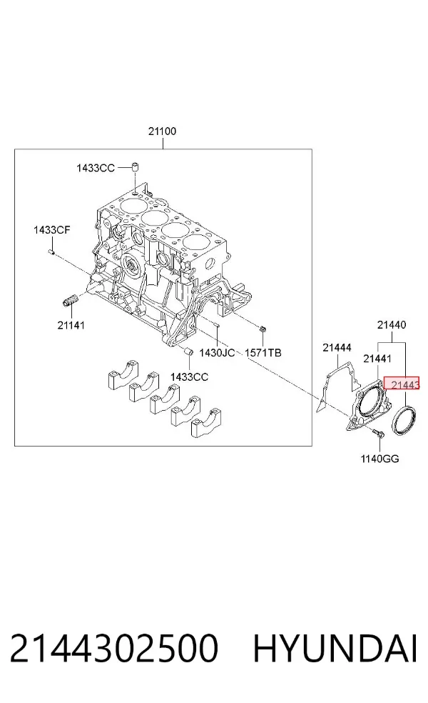 Retén de cigüeñal 2144302500 Hyundai/Kia