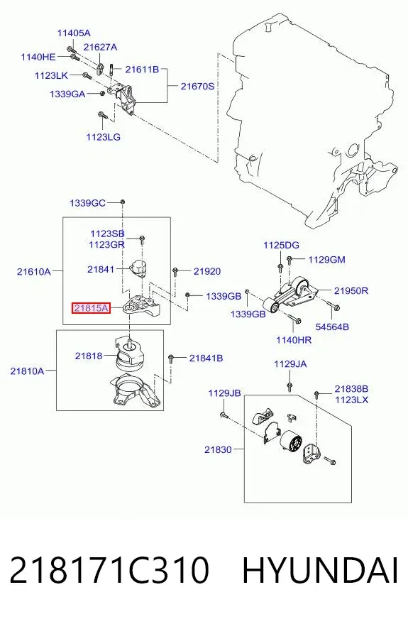 218171C310 Hyundai/Kia