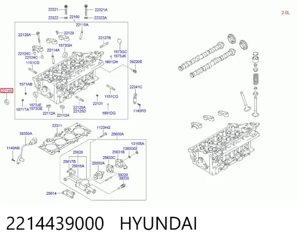 Retén, árbol de levas 2214439000 Hyundai/Kia
