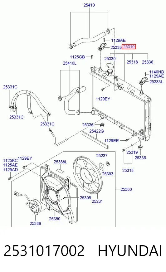 Radiador 2531017002 Hyundai/Kia