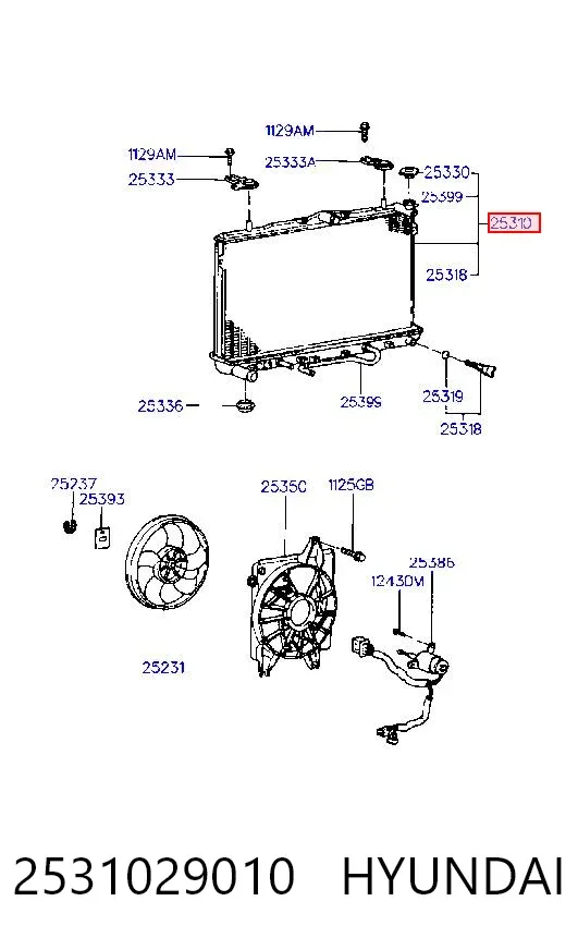 Radiador 2531029010 Hyundai/Kia