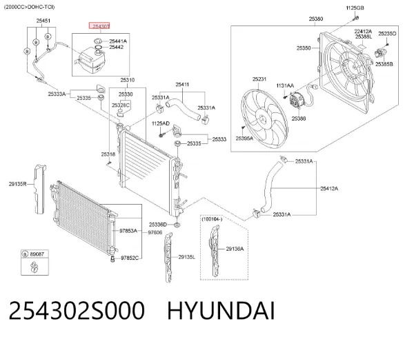 Vaso de expansión 254302S000 Hyundai/Kia