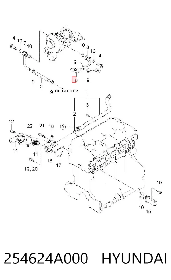 Manguera radiador 254624A000 Hyundai/Kia