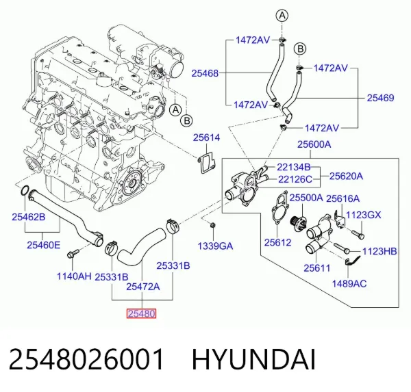 Manguera radiador 2548026001 Hyundai/Kia