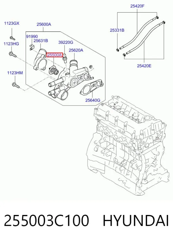 Termostato 255003C100 Hyundai/Kia