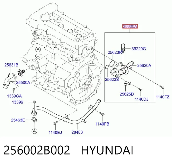 Caja de termostato 256002B002 Hyundai/Kia