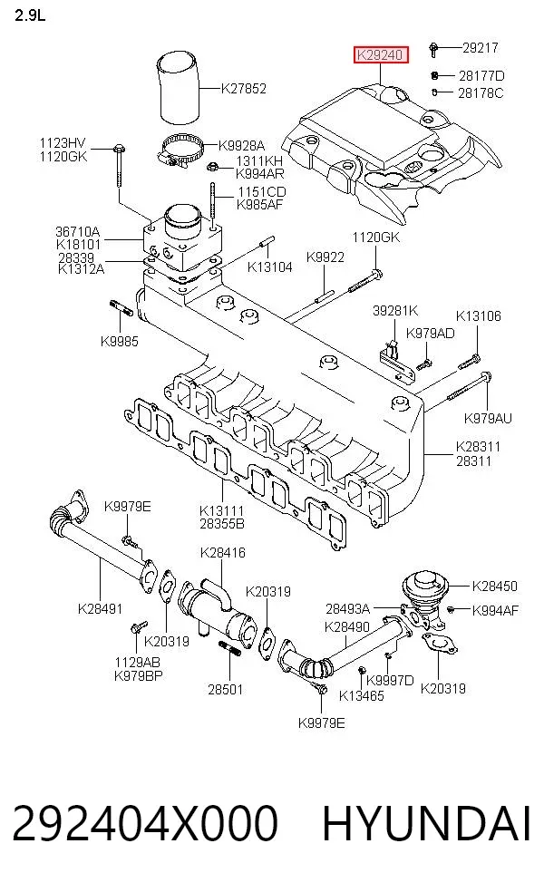 Tapa motor Hyundai Terracan HP