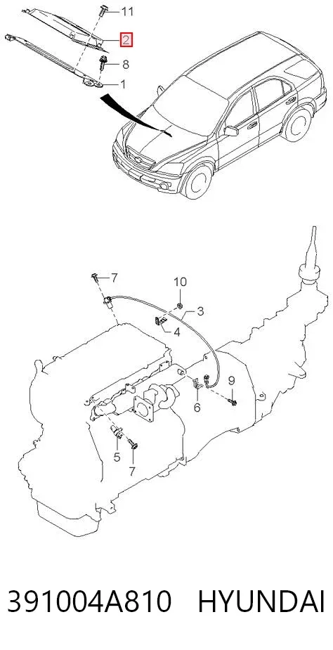 ECU 391004A810 Hyundai/Kia