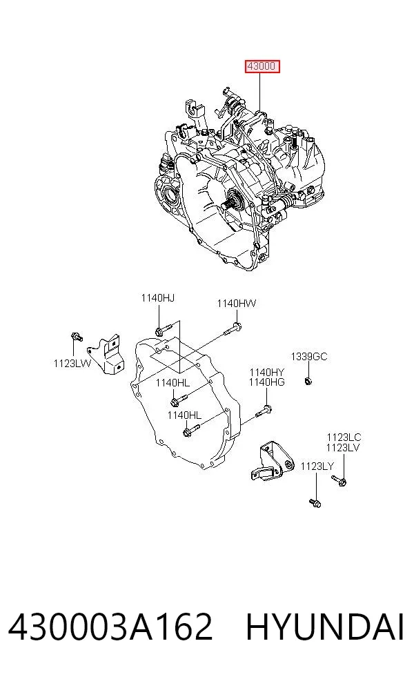 Caja de cambios 430003A162 Hyundai/Kia