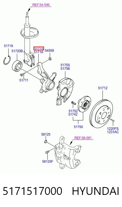 Mangueta delantera izquierda 5171517000 Hyundai/Kia