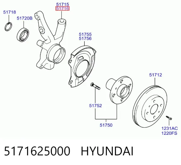 Mangueta delantera derecha 5171625000 Hyundai/Kia
