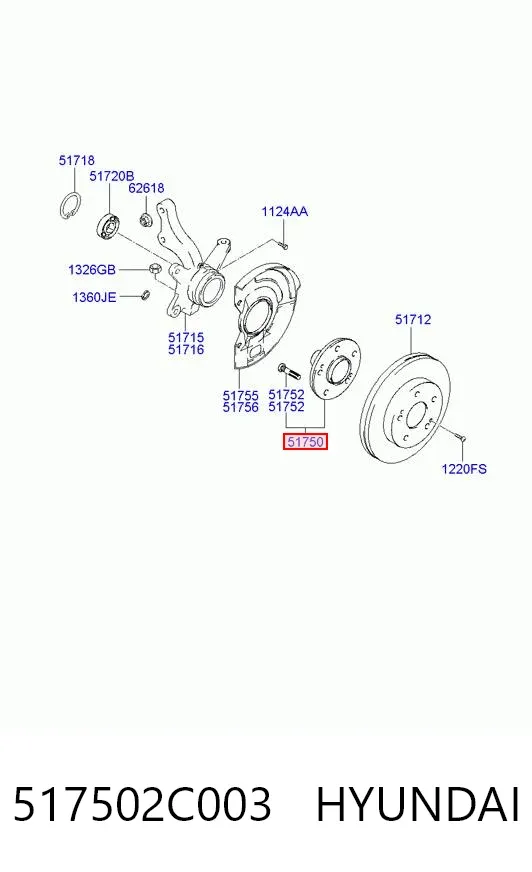 Buje de rueda delantero 517502C003 Hyundai/Kia