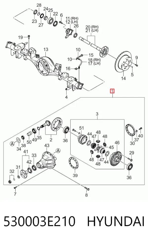 Grupo trasero 530003E210 Hyundai/Kia