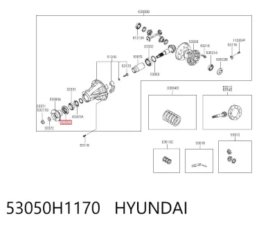 Retén del piñón del diferencial trasero HYUNDAI 53050H1170