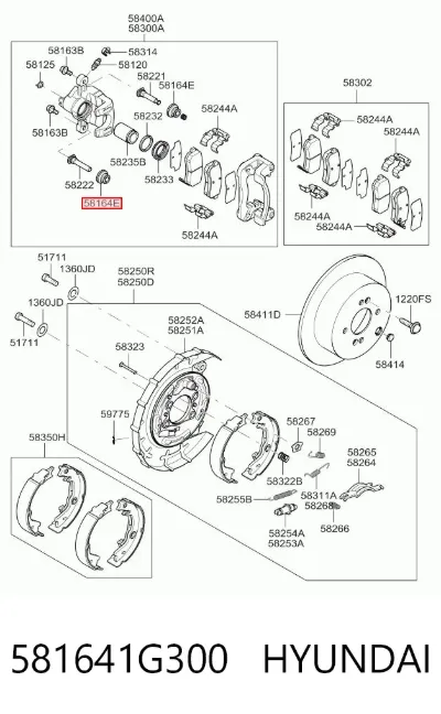 Fuelle de guía de pinza de freno trasero HYUNDAI 581641G300