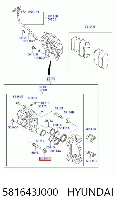 Fuelle de guía de pinza de freno delantero HYUNDAI 581643J000