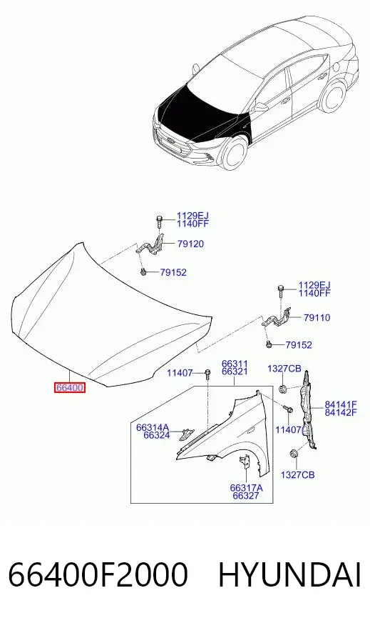 Capó 66400F2000 Hyundai/Kia