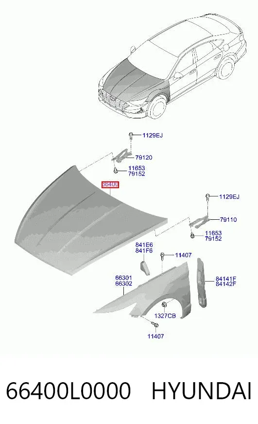 Capó Hyundai Sonata VIII
