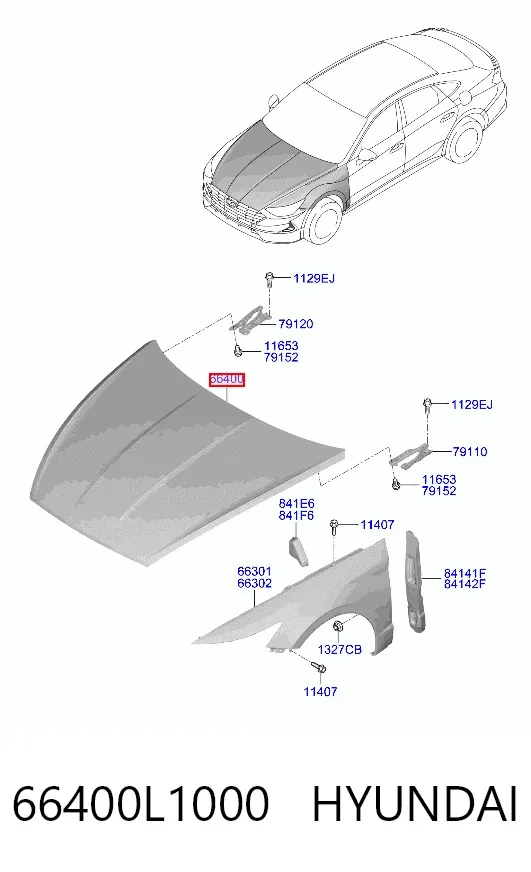 Capó 66400L1000 Hyundai/Kia