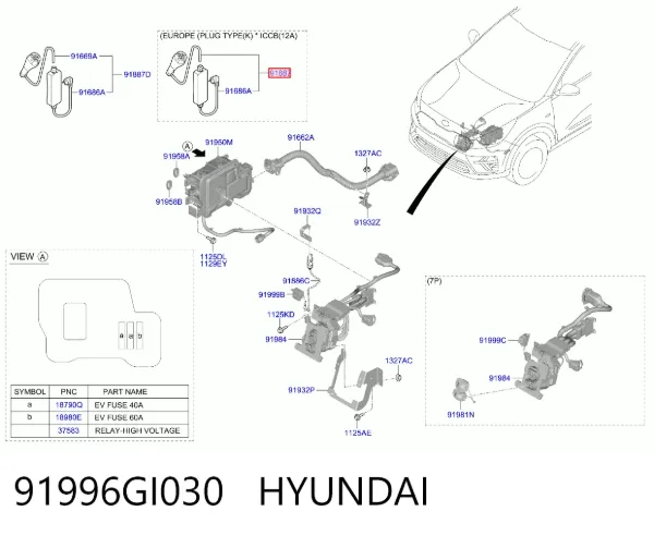 Cable de carga para vehículo eléctrico 91996GI030 Hyundai/Kia