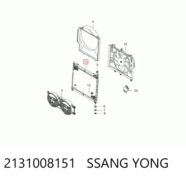 Radiador 2131008151 Ssang Yong