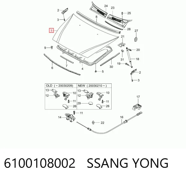 Capó 6100108002 Ssang Yong
