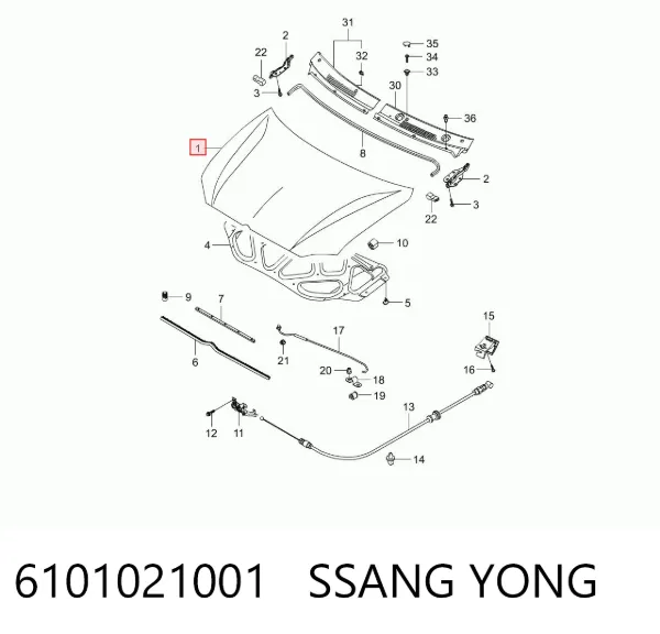 Capó SsangYong Rodius 